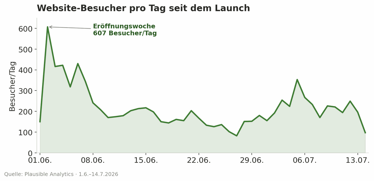 Liniendiagramm: Website-Besucher pro Tag der Lindenhof Straußi seit dem Launch mit Eröffnungspeak