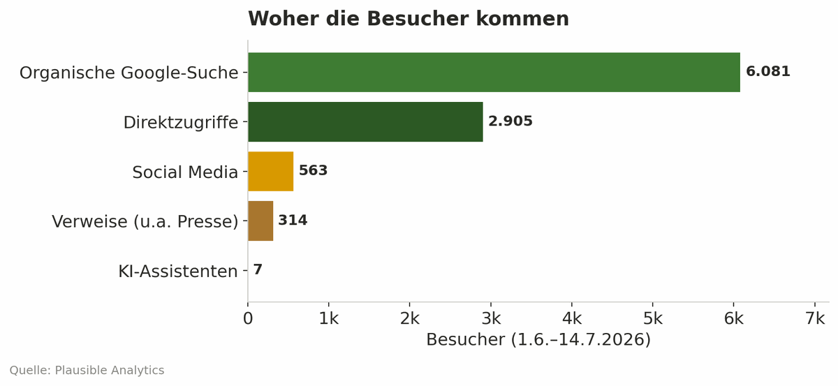 Balkendiagramm der Besucherquellen der Lindenhof-Straußi-Website, organische Google-Suche dominiert