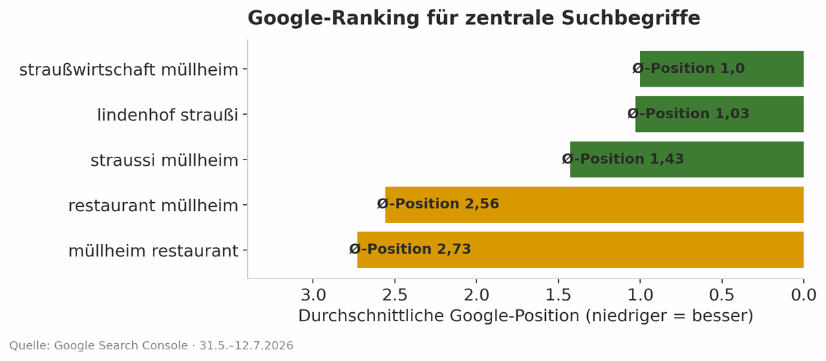 Balkendiagramm der Google-Rankings der Lindenhof Straußi für zentrale Suchbegriffe